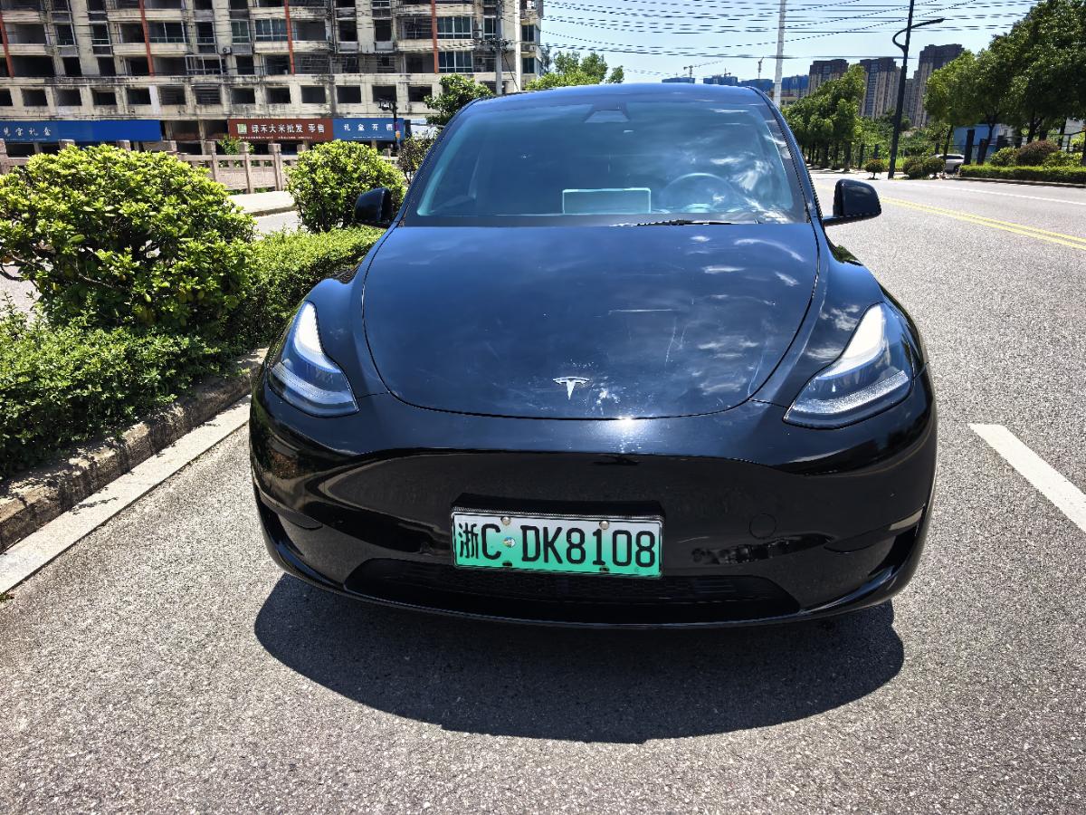 Tesla Model Y 2022 #3 Tesla Model Y 2022 car image #3