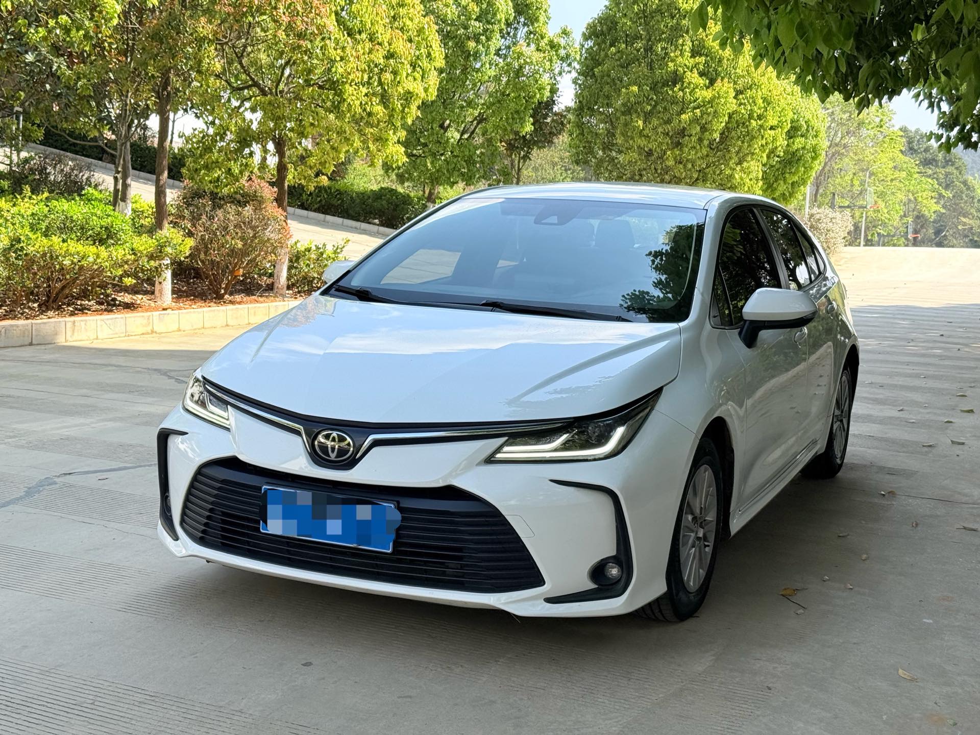 Toyota Corolla 2023 Toyota Corolla 2023 car image