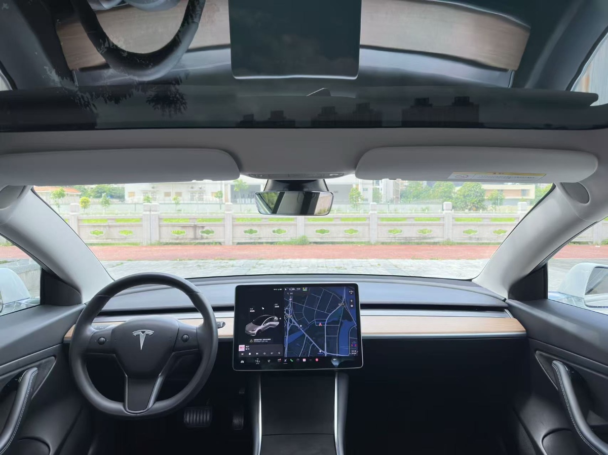 Tesla Model 3 2020 car image #5