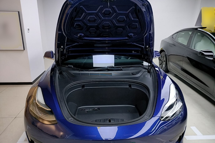 Tesla Model 3 2020 car image #20