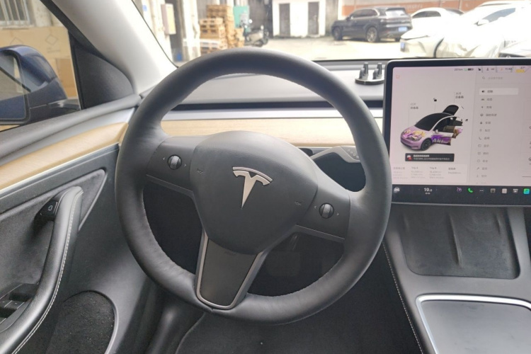 Tesla Model Y 2021 car image #15