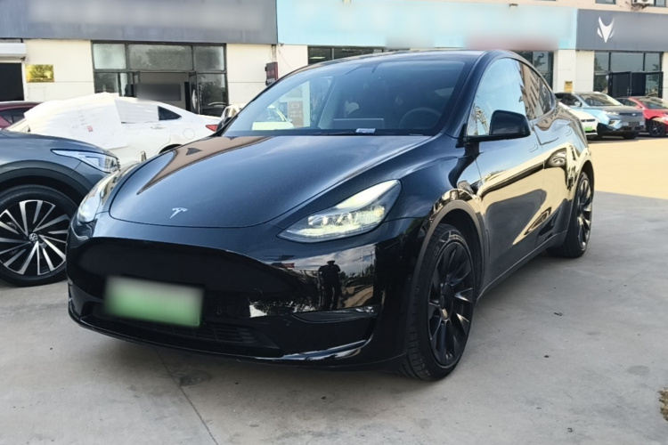 Tesla Model Y 2021 #2 Tesla Model Y 2021 car image #2