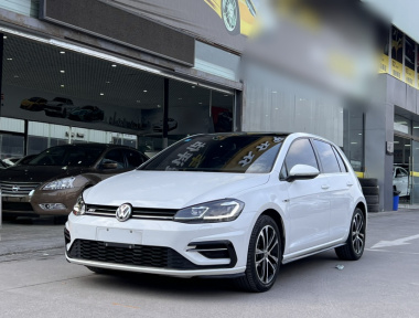 Volkswagen Golf 2019 Volkswagen Golf 2019 car image