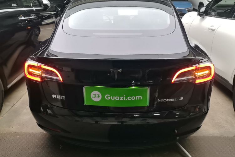 Tesla Model 3 2021 #6 Tesla Model 3 2021 car image #6