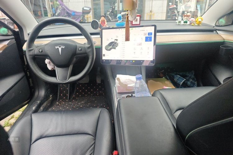 Tesla Model 3 2021 car image #11