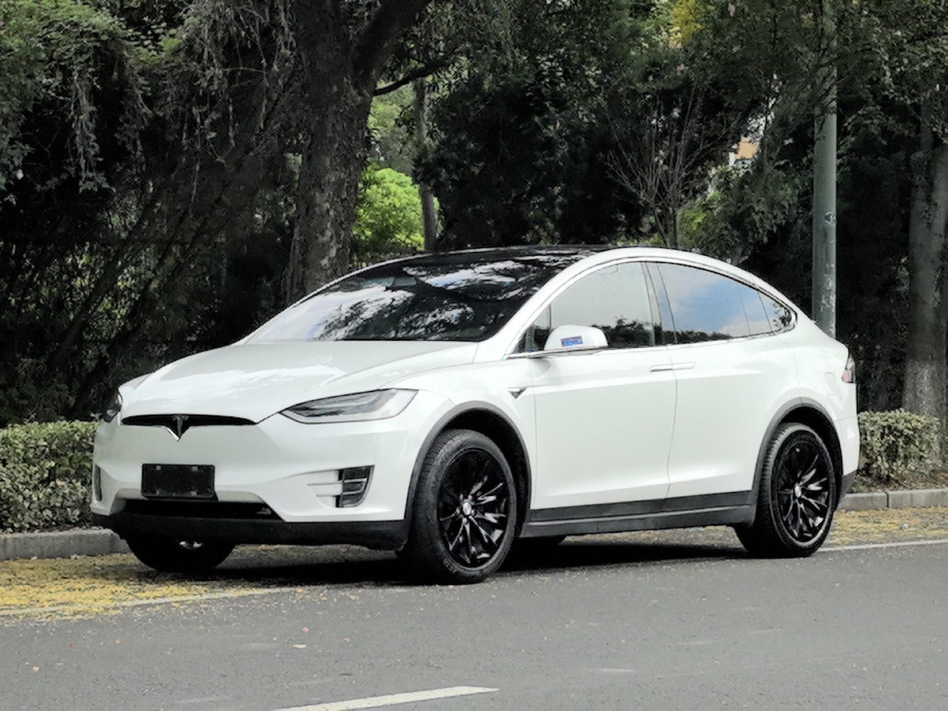 Tesla Model X 2019 Tesla Model X 2019 car image