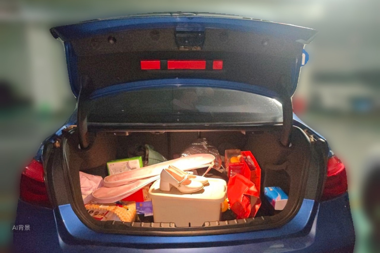 BMW 3 Series 2017 car image #21