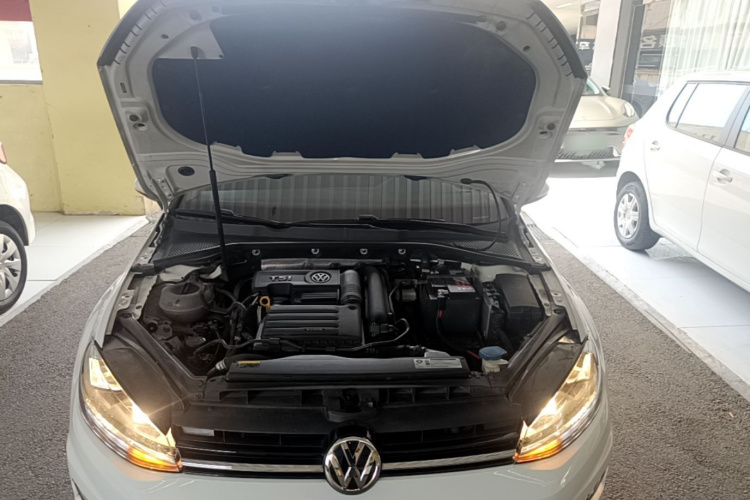 Volkswagen Golf 2019 car image #19