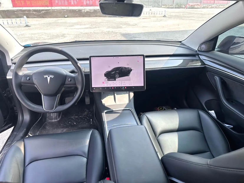 Tesla Model 3 2022 car image #7
