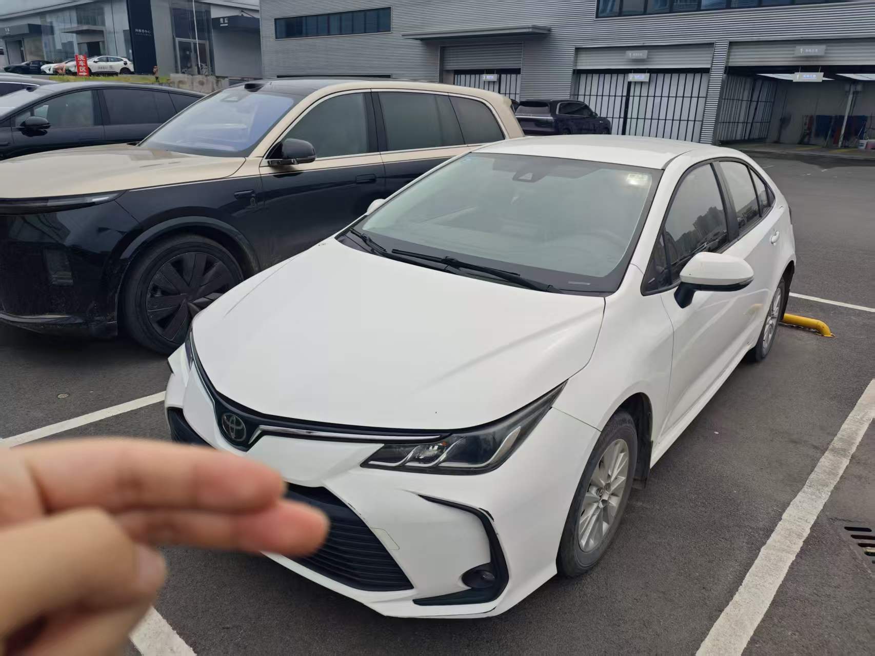 Toyota Corolla 2020 Toyota Corolla 2020 car image