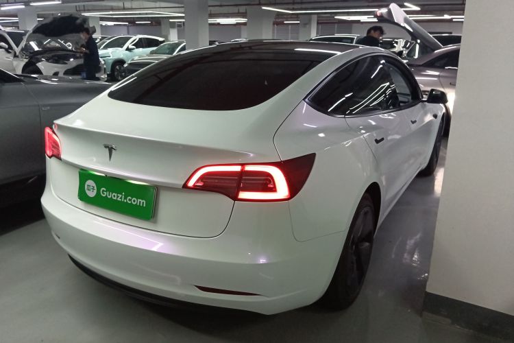 Tesla Model 3 2021 #5 Tesla Model 3 2021 car image #5