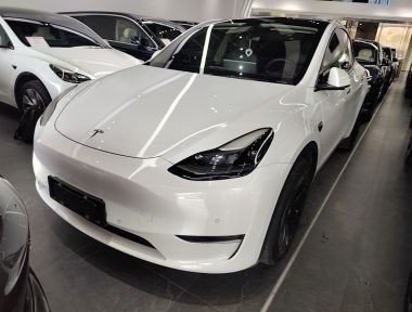 Tesla Model Y 2021 Tesla Model Y 2021 car image