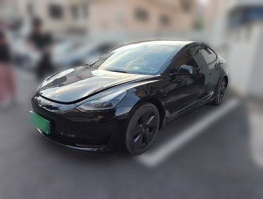 Tesla Model 3 2022 car image 