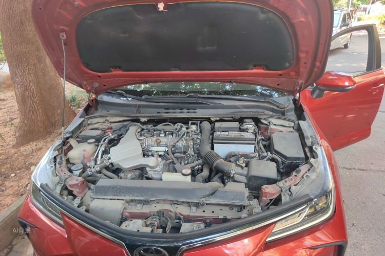 Toyota Corolla 2019 car image #22