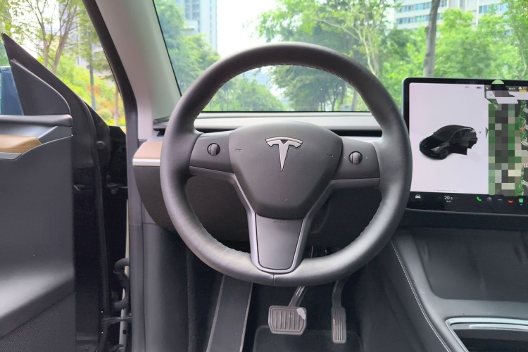 Tesla Model Y 2021 car image #15