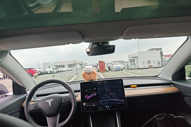 Tesla Model 3 2020 #18 Tesla Model 3 2020 car image #18