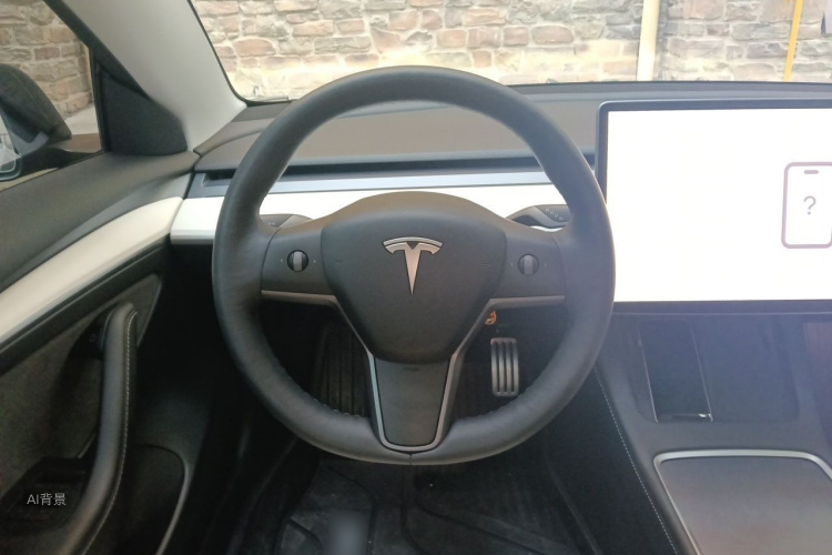 Tesla Model 3 2022 #12 Tesla Model 3 2022 car image #12