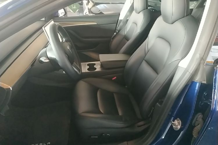 Tesla Model 3 2021 car image #15