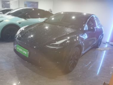 Tesla Model Y 2022 Tesla Model Y 2022 immagine di auto