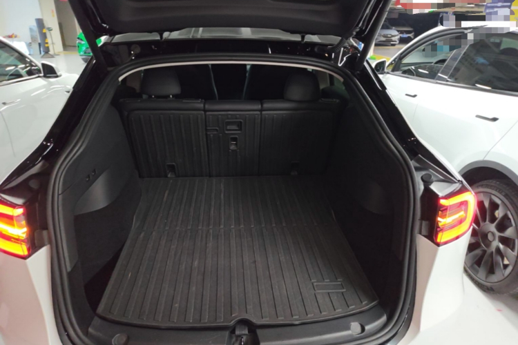Tesla Model Y 2023 #19 Tesla Model Y 2023 car image #19