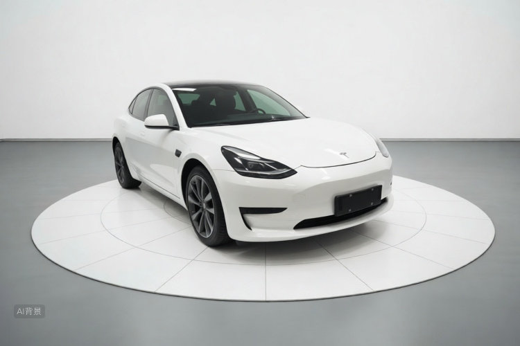 Tesla Model 3 2021 car image #4
