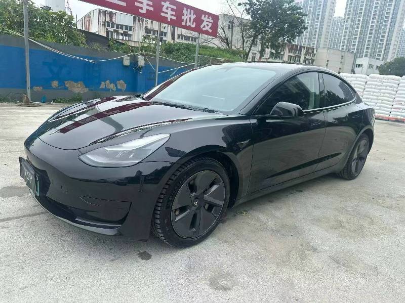 Tesla Model 3 2022 #3 Tesla Model 3 2022 car image #3