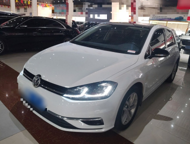 Volkswagen Golf 2019 Volkswagen Golf 2019 car image