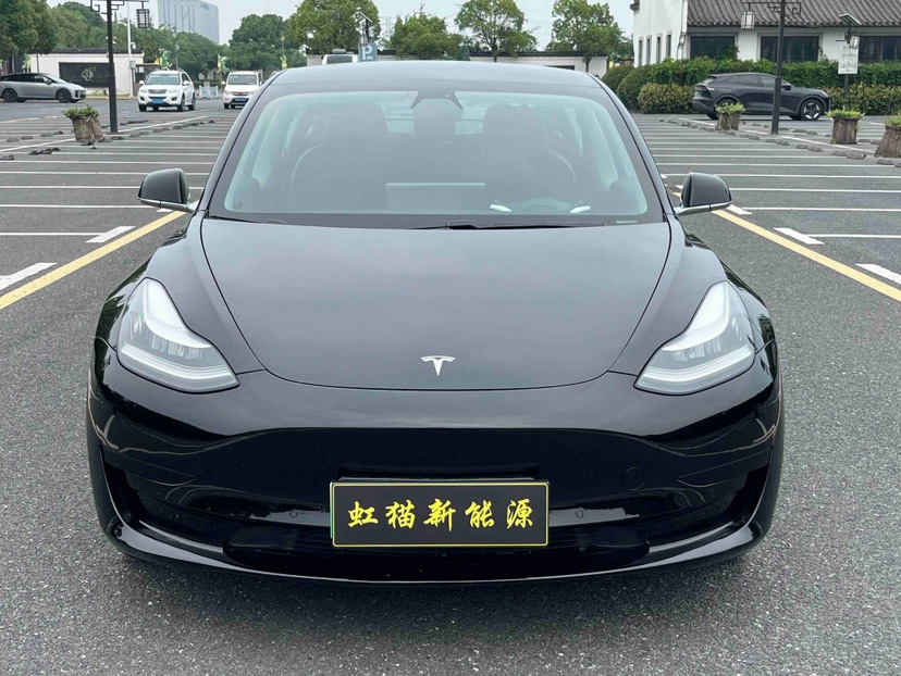 Tesla Model 3 2020 car image #2