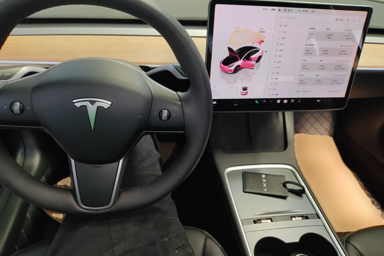 Tesla Model 3 2023 car image #10