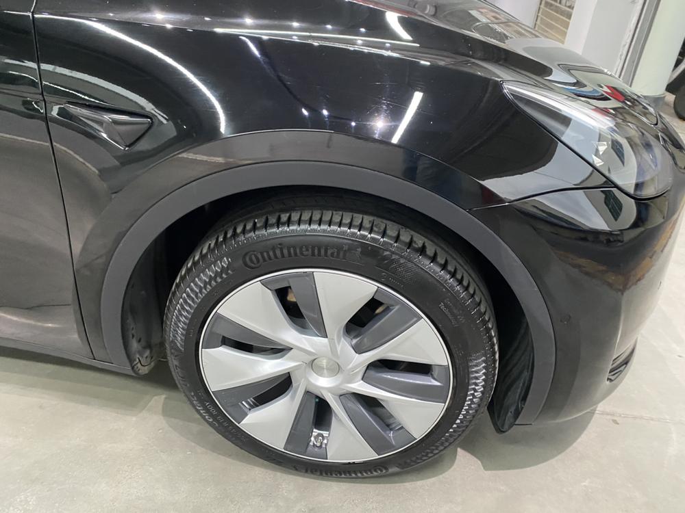 Tesla Model Y 2023 #9 Tesla Model Y 2023 car image #9