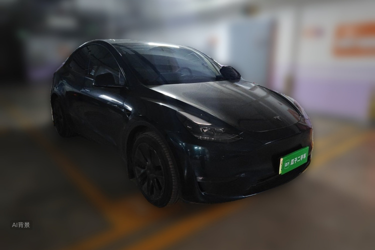 Tesla Model Y 2024 car image #4