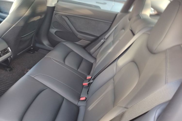 Tesla Model 3 2023 imagem de carro #13