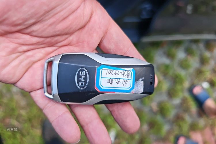 BYD Han 2021 car image #10