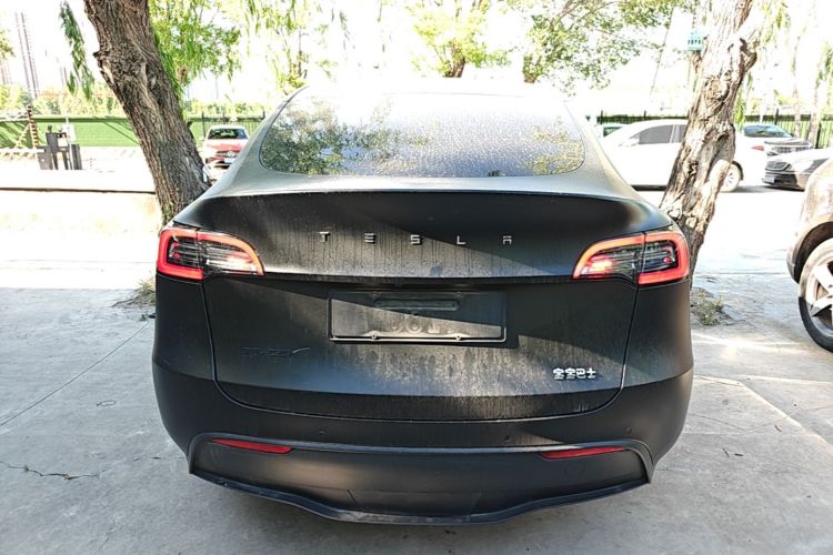 Tesla Model Y 2021 car image #6