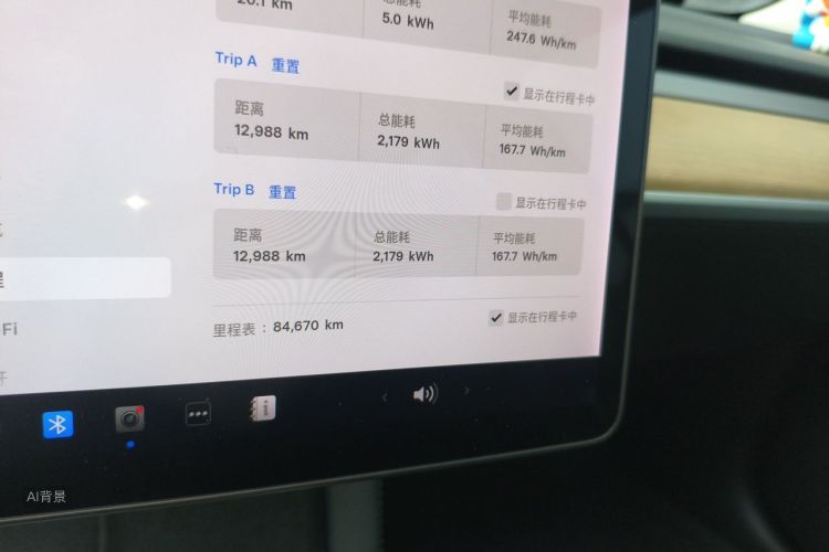 Tesla Model 3 2021 car image #14