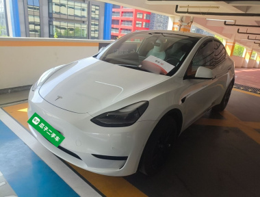 Tesla Model Y 2022 car image 
