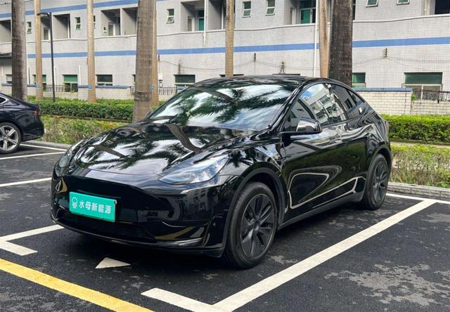 Tesla Model Y 2024 car image #15