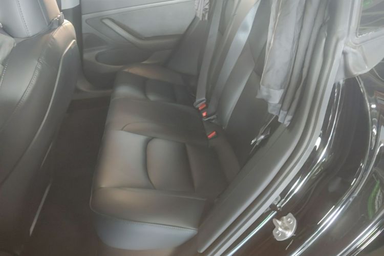 Tesla Model 3 2020 car image #17