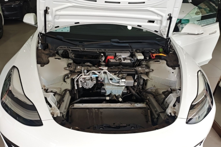 Tesla Model 3 2020 #22 Tesla Model 3 2020 car image #22