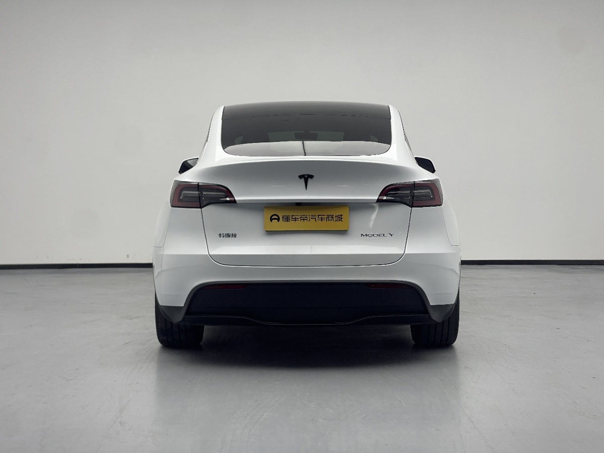 Tesla Model Y 2024 car image #8