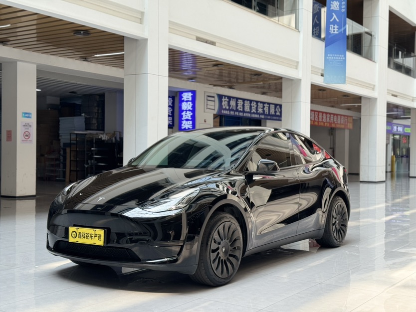 Tesla Model Y 2023 car image 