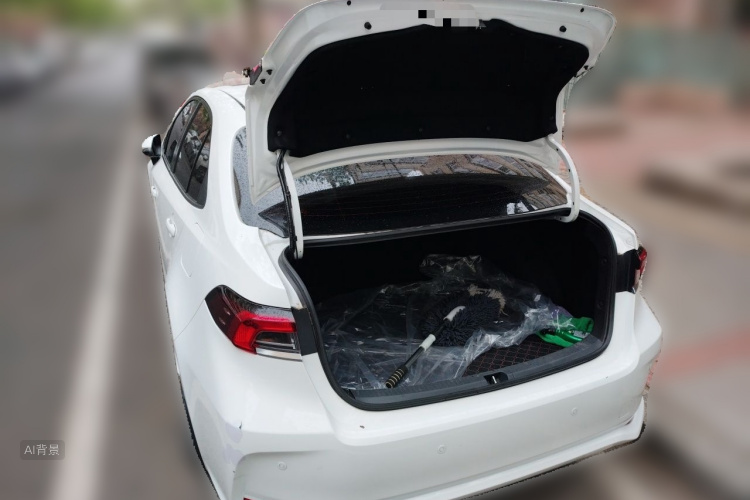 Toyota Corolla 2021 car image #21