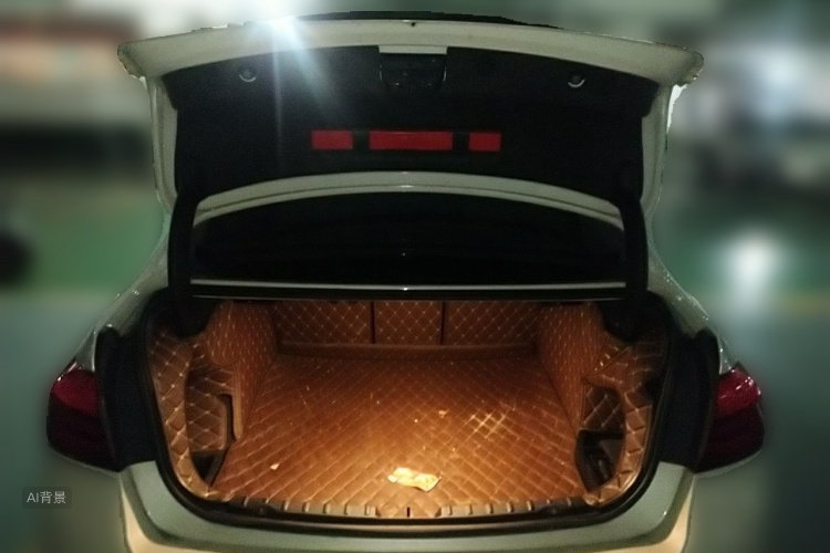 BMW 3 Series 2018 car image #21