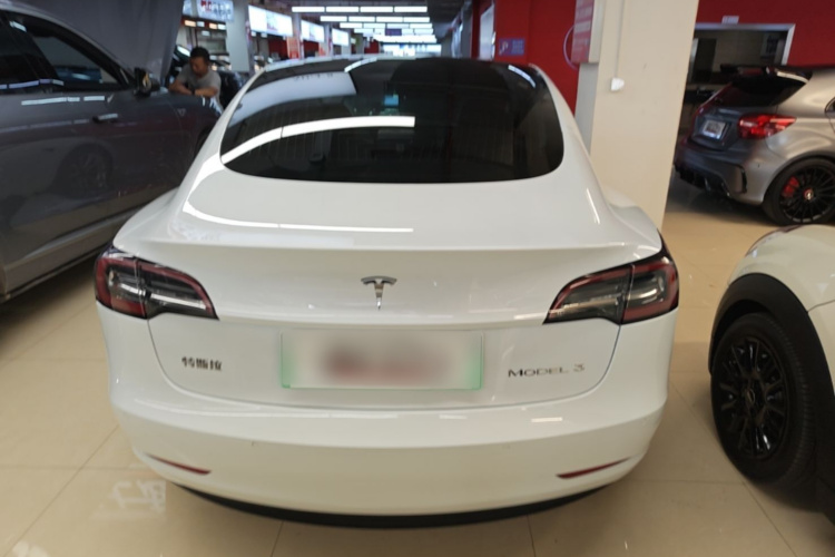Tesla Model 3 2020 #6 Tesla Model 3 2020 car image #6