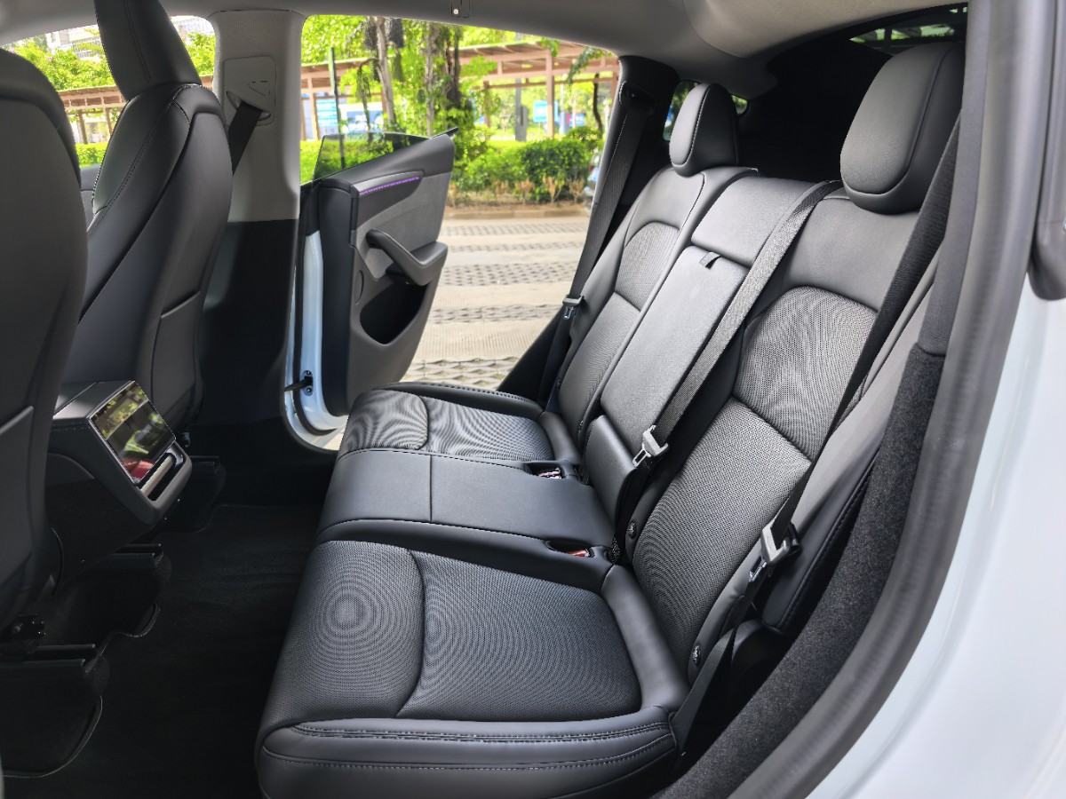 Tesla Model Y 2025 car image #8