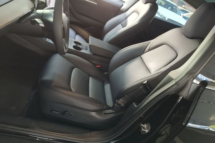 Tesla Model 3 2021 car image #15