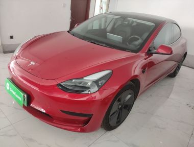Tesla Model 3 2021 Tesla Model 3 2021 car image
