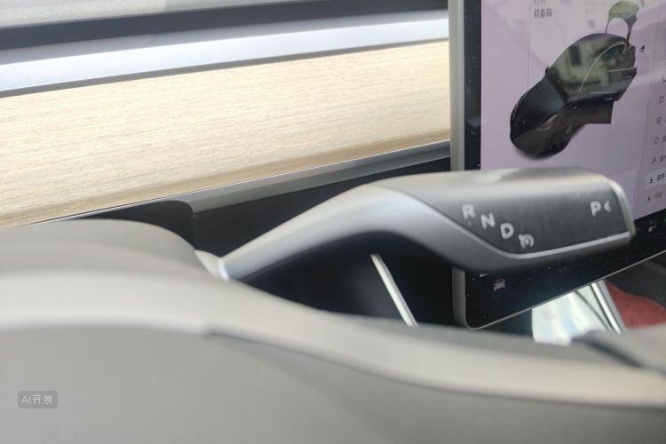 Tesla Model 3 2020 car image #16