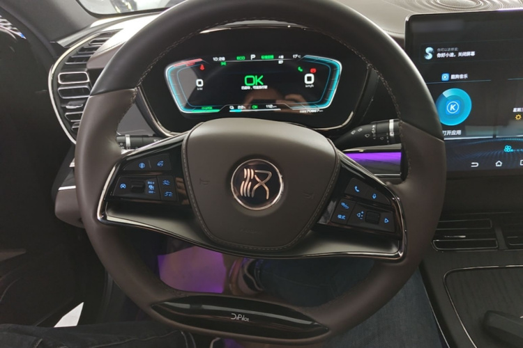 BYD Han 2021 #11 BYD Han 2021 imagen de coche #11