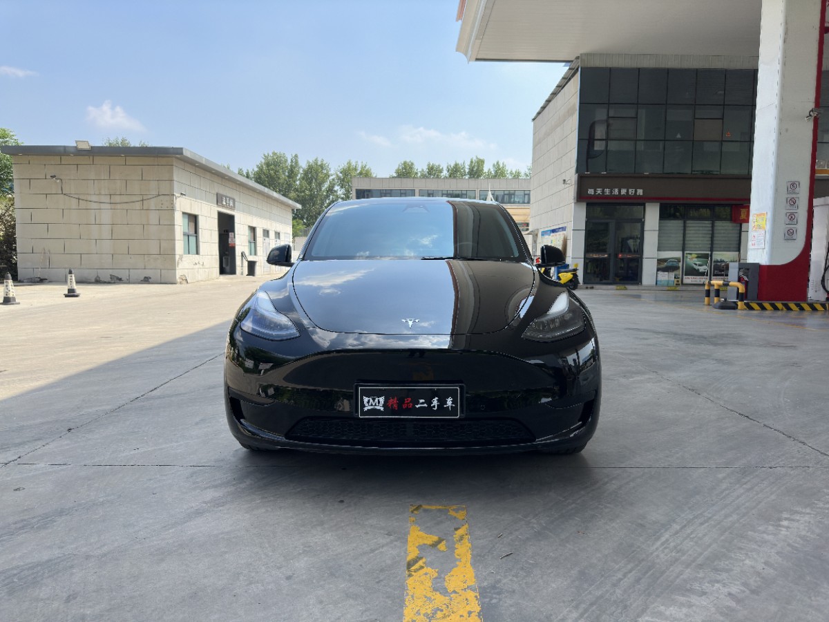 Tesla Model Y 2024 immagine di auto #2